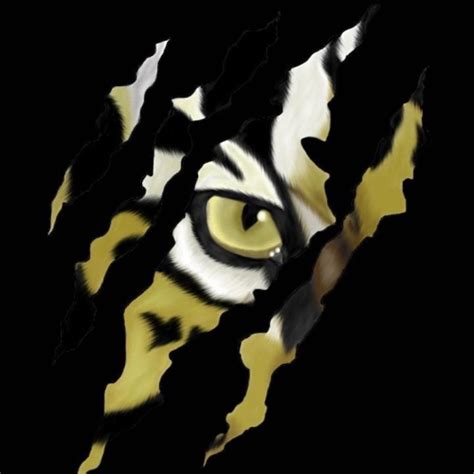 BYA BHS Tigers Basketball