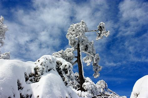 大美黄山冬季雪景摄影提示，防护、拍摄注意事项_旅摄园地_国际旅游摄影网