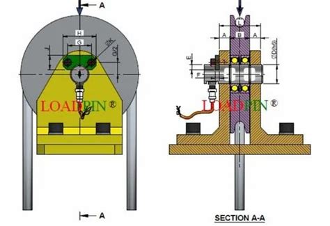 Safe Load Indicator - LOADPIN Crane Overload Protection System ...