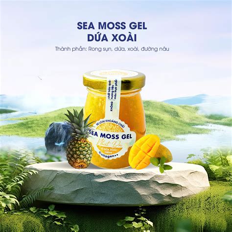 8 cách sử dụng Sea Moss Gel hiệu quả nhất - Japi Foods - Blue Foods ...
