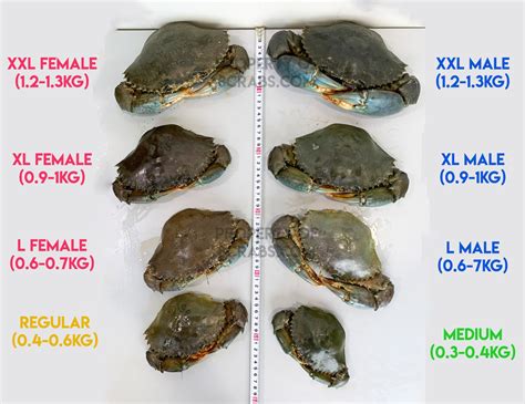 Why Does My Crab Weigh Lesser After Cooking? - Crab Delivery Singapore | 8 Crabs Crab Delivery