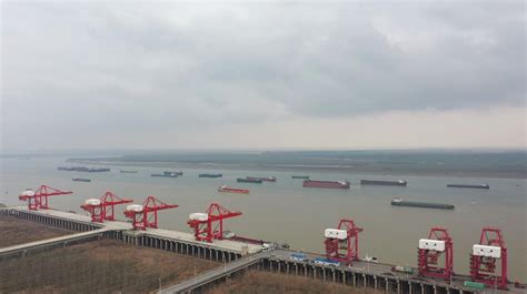 岳阳自贸片区全省首推进口水运转关货物“提前申报”
