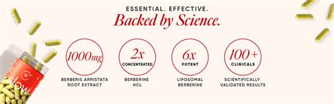 Buy Best Berberine HCL+ Supplement in India – Wellbeing Nutrition