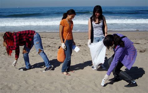 Environmentalist Purpose Example 的图像结果