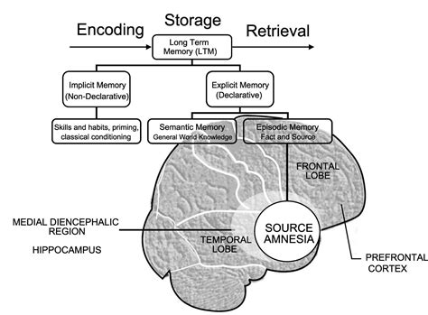Storage Units of Memory Practice 的图像结果