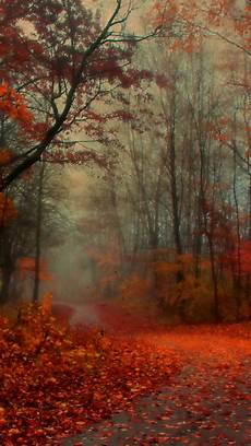 Iphone 11 Pro Autumn Wallpaper by Awesome Autumn Wallpapers For Your Iphone Hd The Nology Iphone 11 Pro Autumn Wallpaper