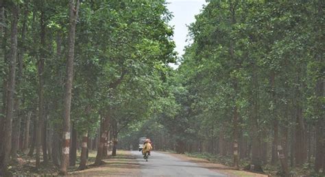 Raipur’s Growing An 18 Acre ‘Oxy-Zone’ Forest Right In The Heart Of The ...