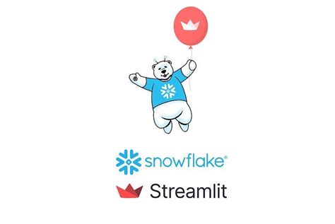 Snowflake Streamlit Tutorial 的图像结果