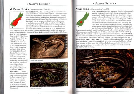 How Do Animals Work? A Naturalist⁠’s Guide To Their Inner Lives