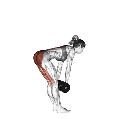 Stiff Legged Deadlifts With Dumbbells: Benefits, Muscles Worked, and ...
