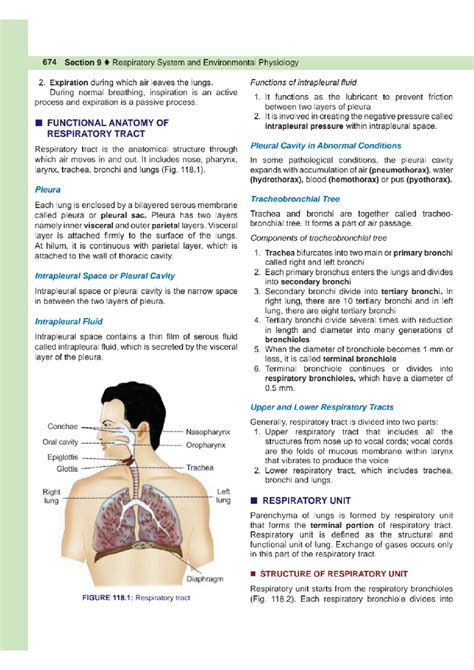 Respiratory System and Environmental Physiology (Respo 2) - Class Test ...