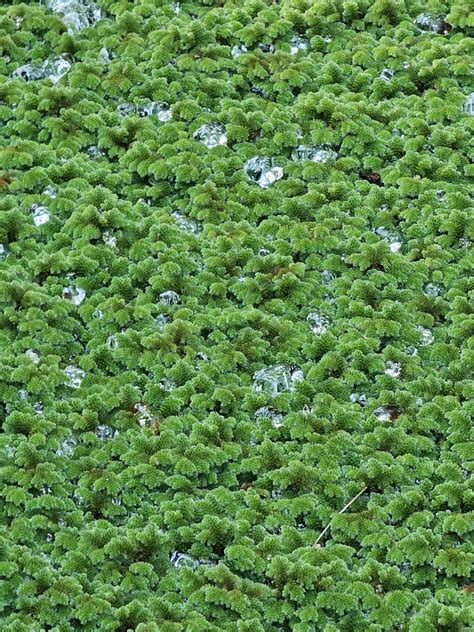 🗓 My Monday | Timing is everything (t - 20) working days 180 hours ...