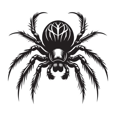 Spider vectors silhouette 47156070 Vector Art at Vecteezy
