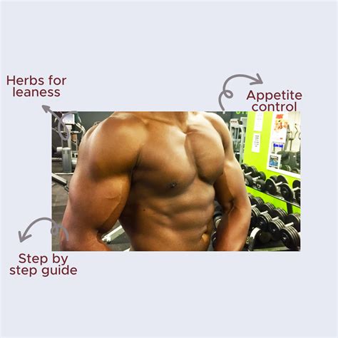 Herbs for muscle growth & strength course – DunguBook
