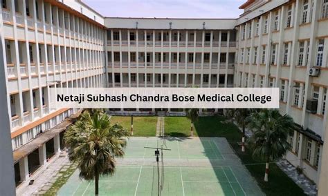 Jabalpur Medical College Hospital under scrutiny over rat bite allegations
