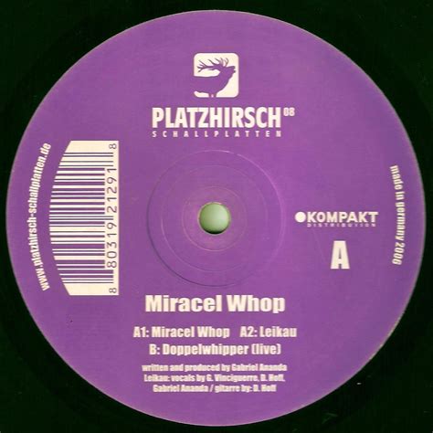 Miracel Whoop Ep: Gabriel Ananda: Amazon.in: Music}