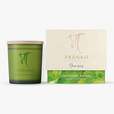 Pranah Monsoon Raaga Aromatherapy Scented Candle | 128g, 28 Hours Burn ...