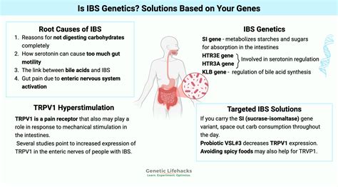 Irritable Bowel Syndrome (IBS): Targeted Solutions Based on Your Genes
