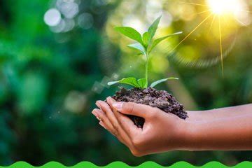 College of Post Graduate Studies in Agricultural Sciences (CAU-I)