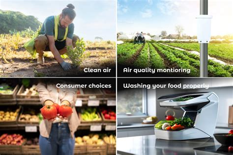 Our Diet and Nutrition: How Air Pollution Affects Our Food? | AQI