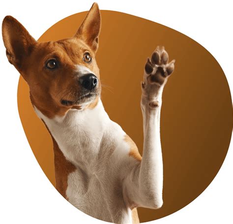 Cowboy’s Chance – Riley's Retreat.