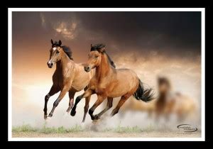 Running Horses Framed Poster Paper Print - Animals, Nature posters in ...