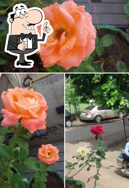 Surati Dosa, Navsari - Restaurant menu, prices and reviews