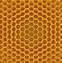 honeycomb 的图像结果