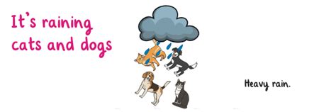 What are idioms | Definition & Examples | Twinkl