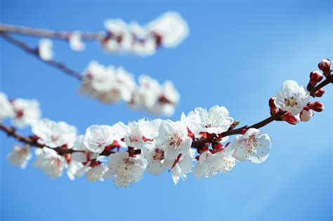 春天|摄影|风光摄影|dajiang2014 - 原创作品 - 站酷 (ZCOOL)