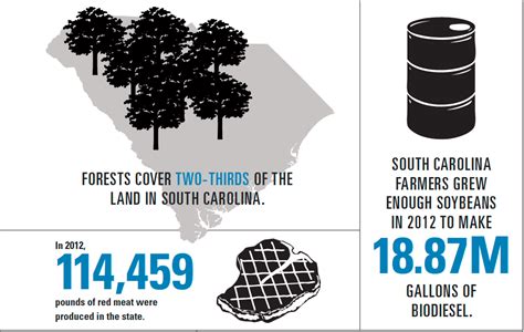 South Carolina Agriculture 的图像结果