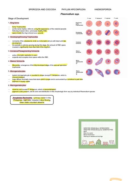 Blood AND Tissue Nematodes - SPOROZOA AND COCCIDIA PHYLUM APICOMPLEXA HAEMOSPORIDA Plasmodium ...