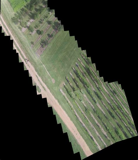 Image Stitching Python 的图像结果