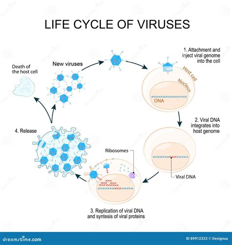 Reproduction Of Virus Pdf