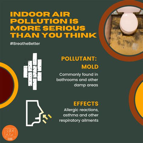 Indoor Air Pollution: Mold growth in damp areas | Climate Connection