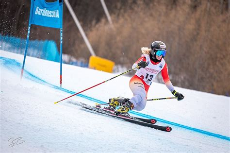 Telemark Lessons 的图像结果