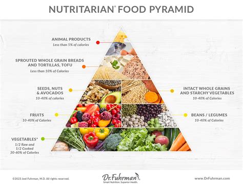 Printable New Food Pyramid