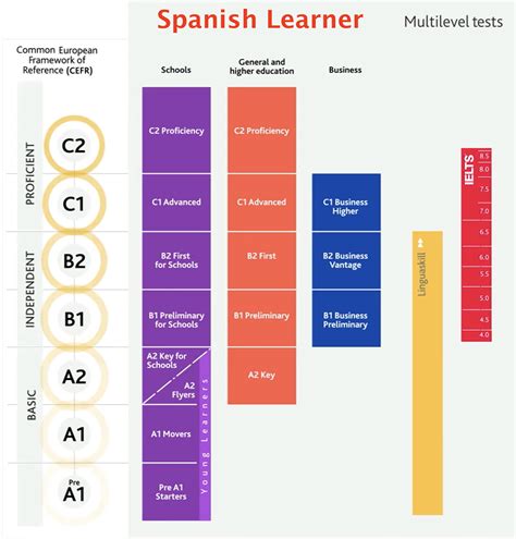 Spanish Course — iFun Education