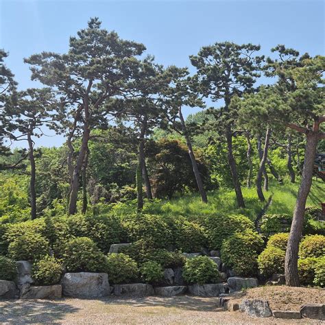 HWANGRYONGSA TEMPLE - All You Need to Know BEFORE You Go 2026 (with ...