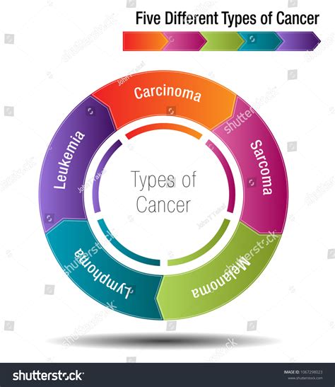 Types of Cancer Names 的图像结果