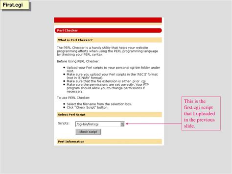 Image result for CGI Perl Script