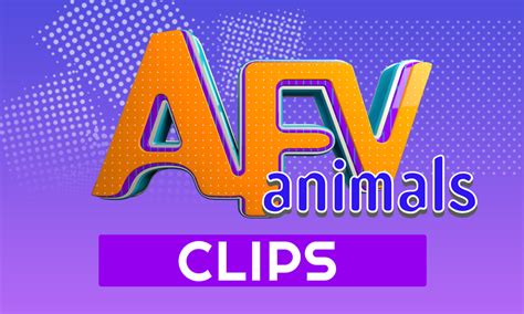 AFV Zoo Animals 的图像结果