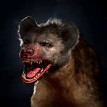 Hyena - bg3.wiki