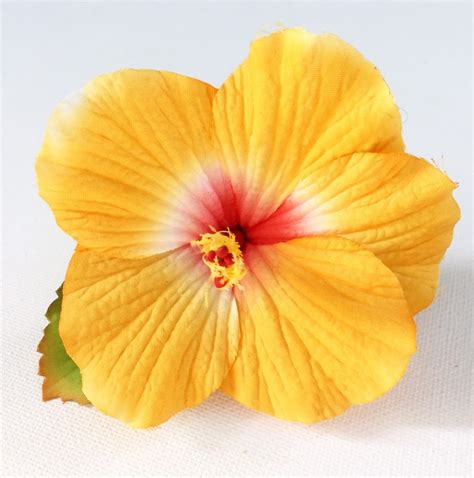 Golden Yellow Hibiscus Hair Clip/hawaiian Party Hair Clip/50s Hair ...