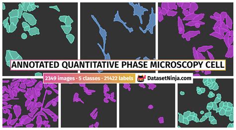 Annotated Quantitative Phase Microscopy Cell - Dataset Ninja