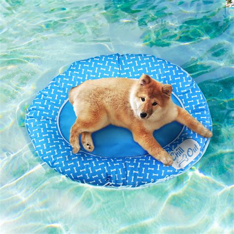 All For Paws Chill-Out Non-Inflatable Pet Raft for Dog Pool, Lake ...