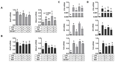 Inhibitory Effects of Ginsenoside Compound K on Lipopolysaccharide ...