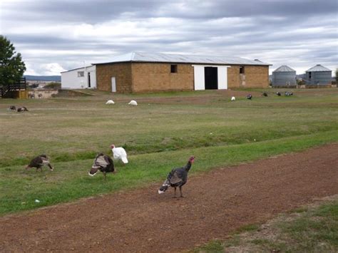 SOMERCOTES (Ross) - B&B Reviews & Photos - Tripadvisor