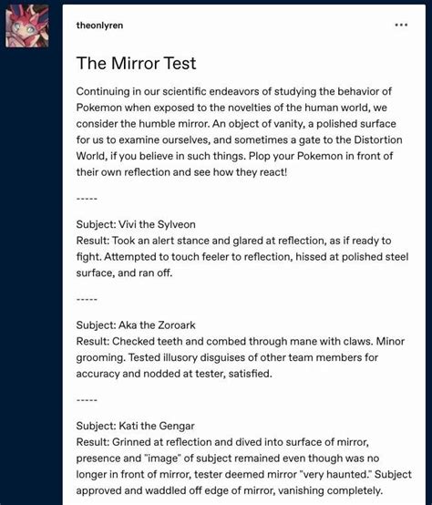 Image result for Magic Mirror Test