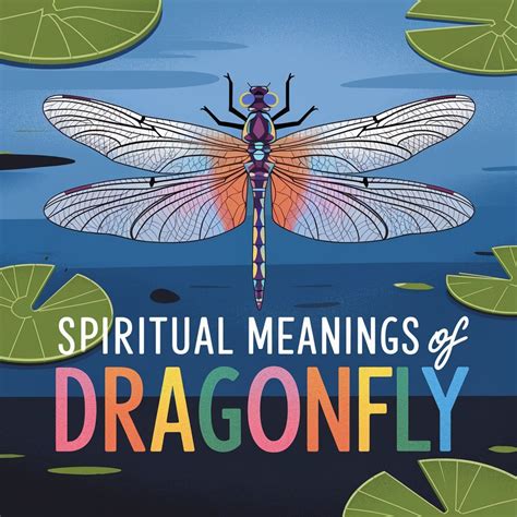 15 Spiritual Meanings of Dragonfly: Hidden Secrets Revealed